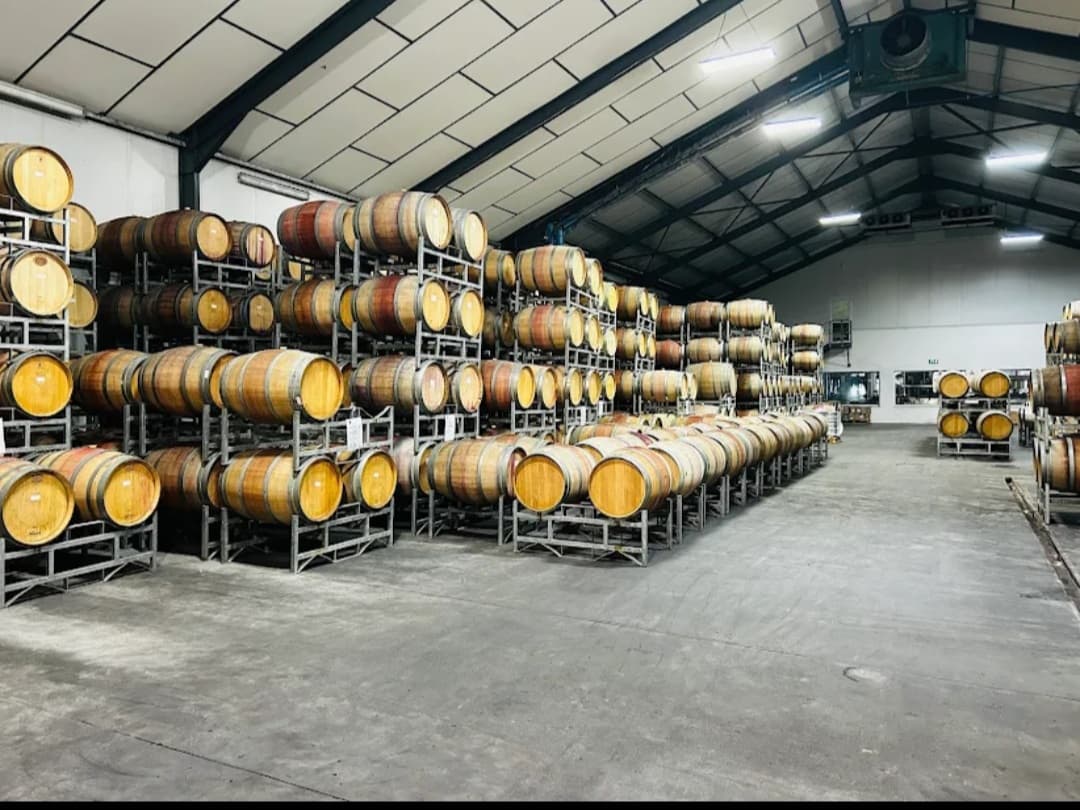 Horse Riding & Constantia Winelands